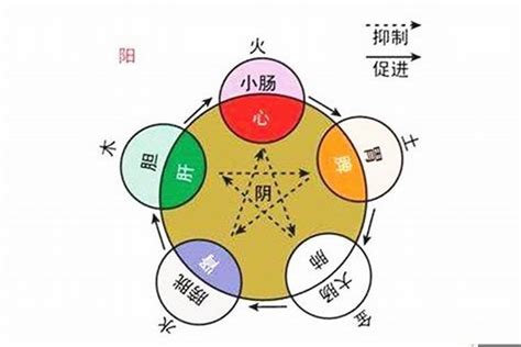 子五行|汉字五行查询